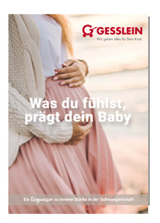 FLYER IMPULS FLYER IMPULS