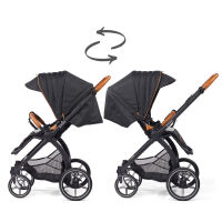 FX4 Soft+ Swing mit Panorama Lyx im Set (schwarzes Gestell) 551551