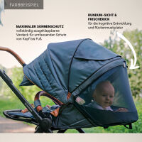 FX4 Soft+ Swing mit Panorama Lyx im Set (schwarzes Gestell) 551551