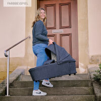 FX4 Soft+ Swing mit Panorama Lyx im Set (schwarzes Gestell) 551551