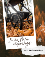 Wechselachse mit Rädern