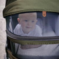 Kinderwagen-Set Fusion inklusive Babywanne Lyx Design 389389 grün
