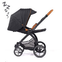 FX4 Soft+ Swing mit Panorama Lyx im Set mit eloxiertem  Gestell ohne Handbremse 458458