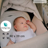 FX4 Soft+ Swing mit Panorama Lyx im Set mit eloxiertem  Gestell ohne Handbremse 458458