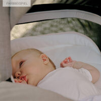 FX4 Soft+ Swing mit Panorama Lyx im Set mit eloxiertem  Gestell ohne Handbremse 458458