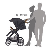 FX4 Set Swing mit Panorama Lyx, Gestell schwarz, Design 688688 Grau Elegance