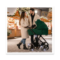INDY M2 Set Swing mit Panorama Lyx, Design 651651 Olive