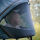 INDY M2 Set Swing mit Panorama Lyx, Design 689689 Mint Blossom