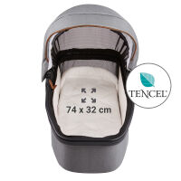 INDY M2 Set Swing mit Panorama Relax, Design 559559 grau meliert
