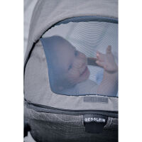 Kinderwagen-Set FX4 Style inklusive Babywanne