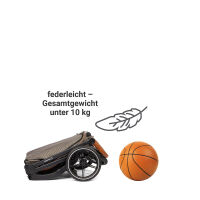 Kinderwagen-Set FX4 Style Design 387387, taupe