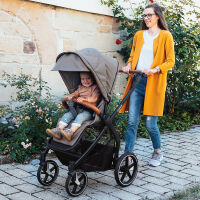 Kinderwagen-Set FX4 Style Design 387387, taupe