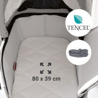 Kinderwagen-Set FX4 Style Design 387387, taupe