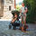 Kinderwagen-Set FX4 Style Design 389389, moosgrün