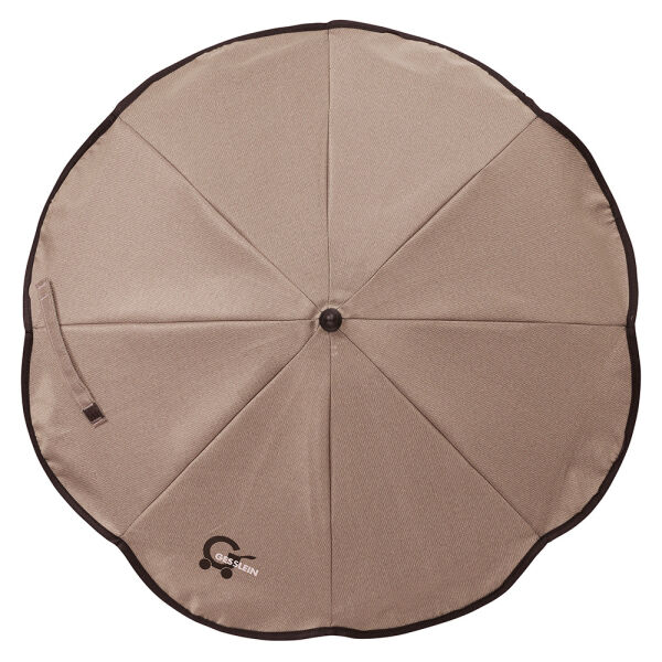 381381 camel